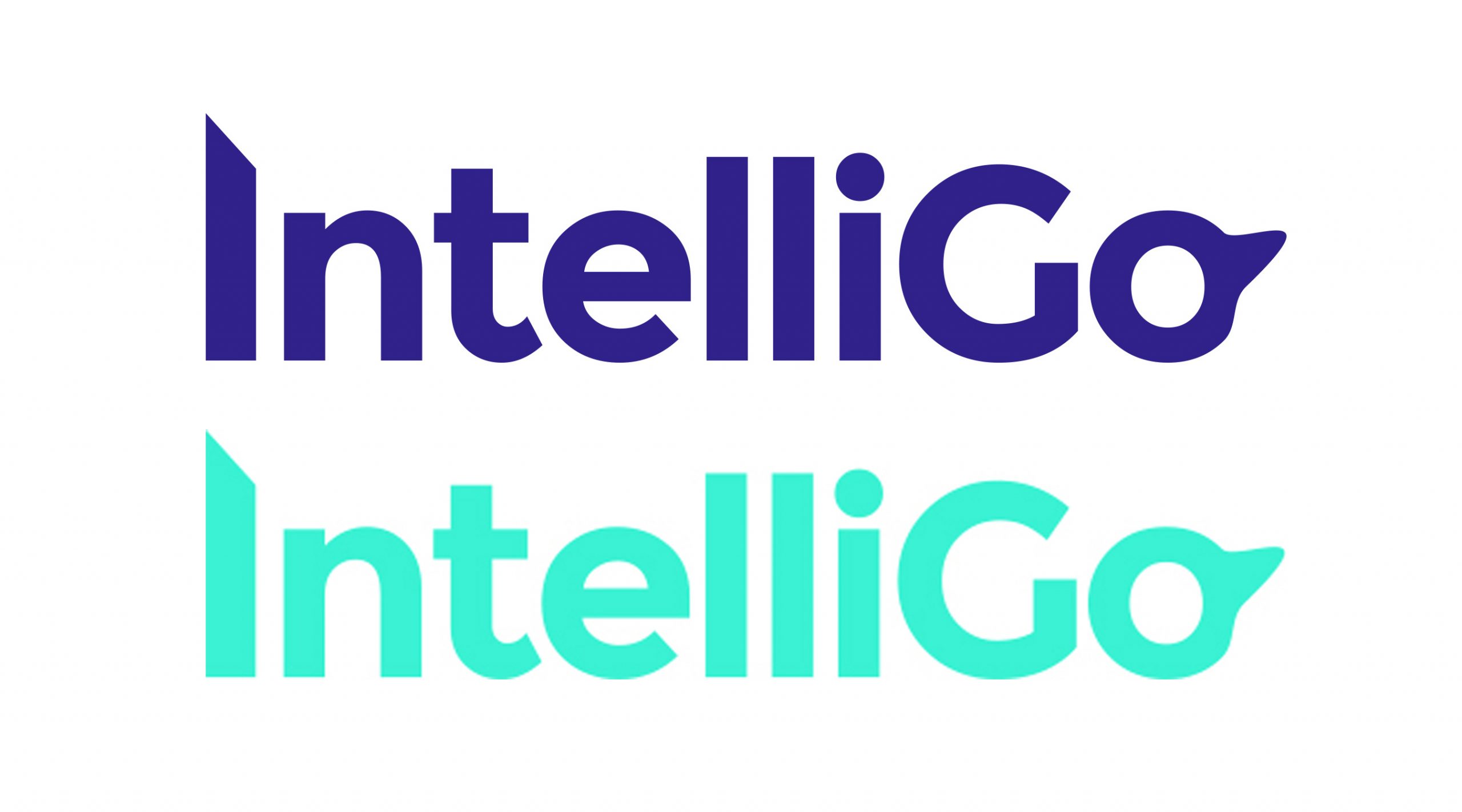 Intelli-Go Intelli-Go