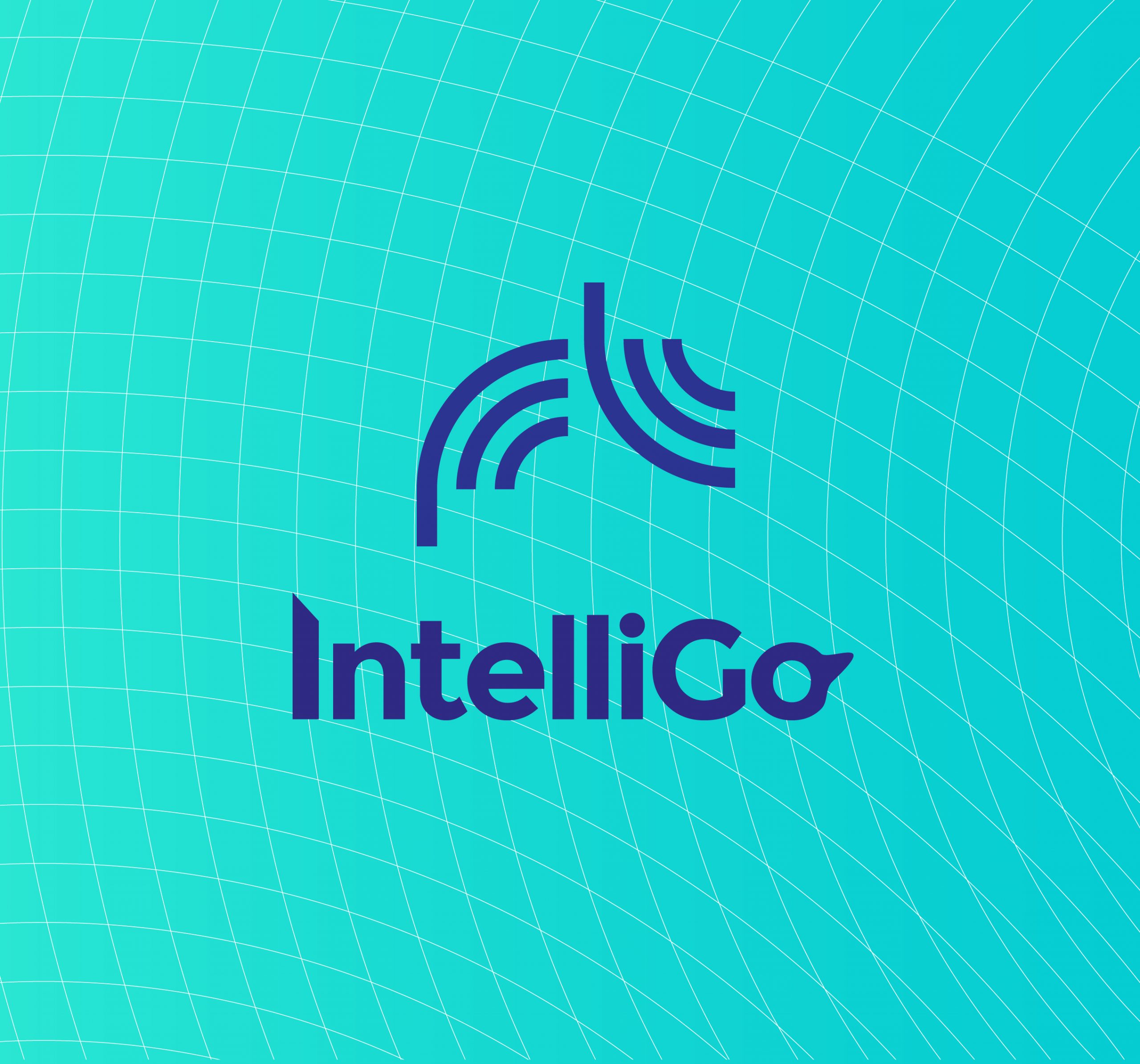 Intelli-Go Intelli-Go